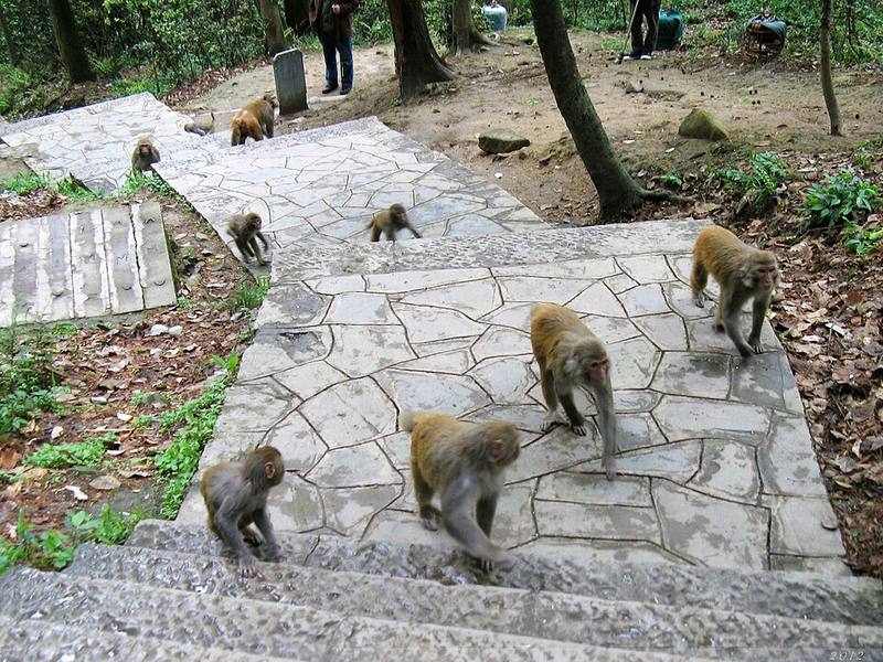 黔灵山公园